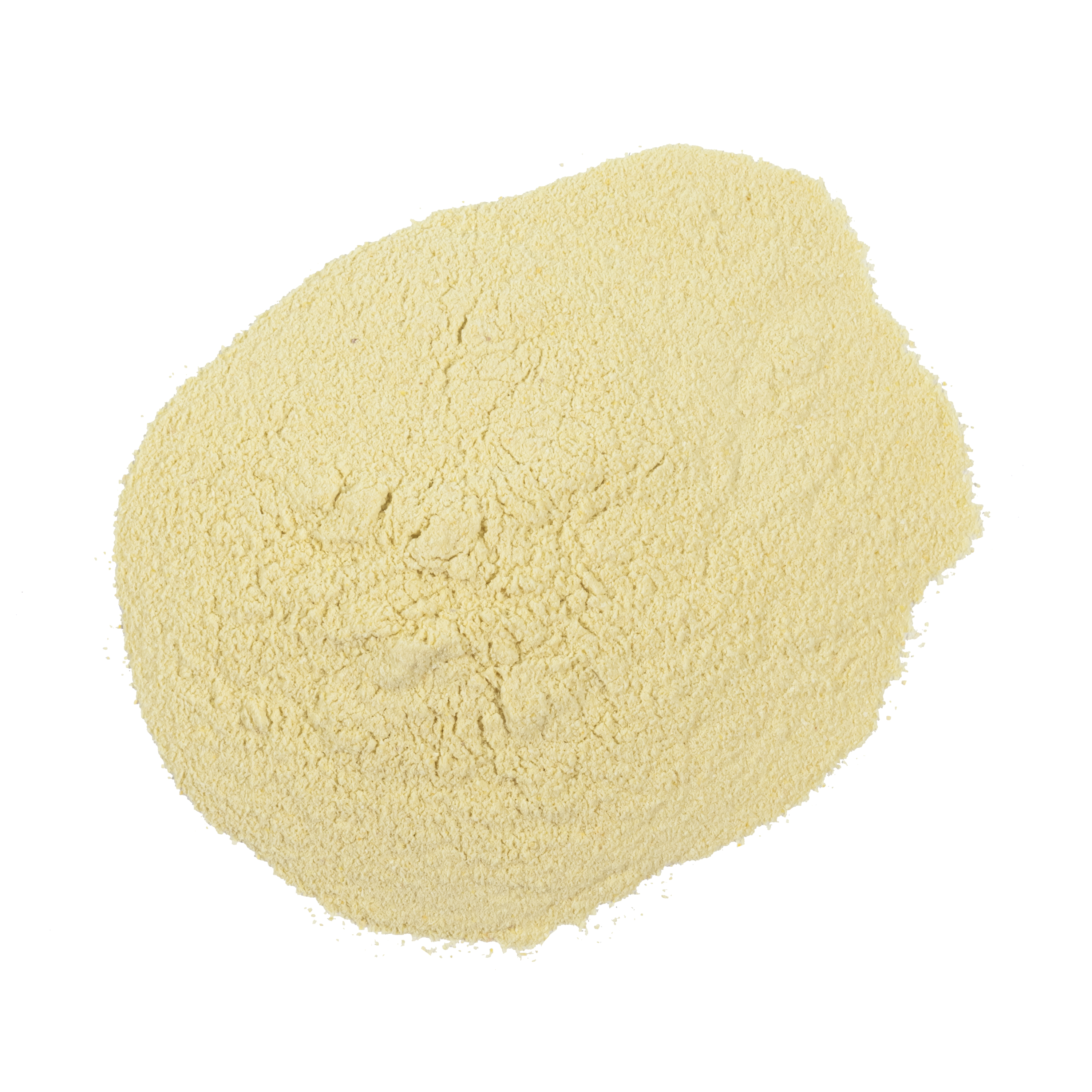 Organic Orange Freeze Dried Powder