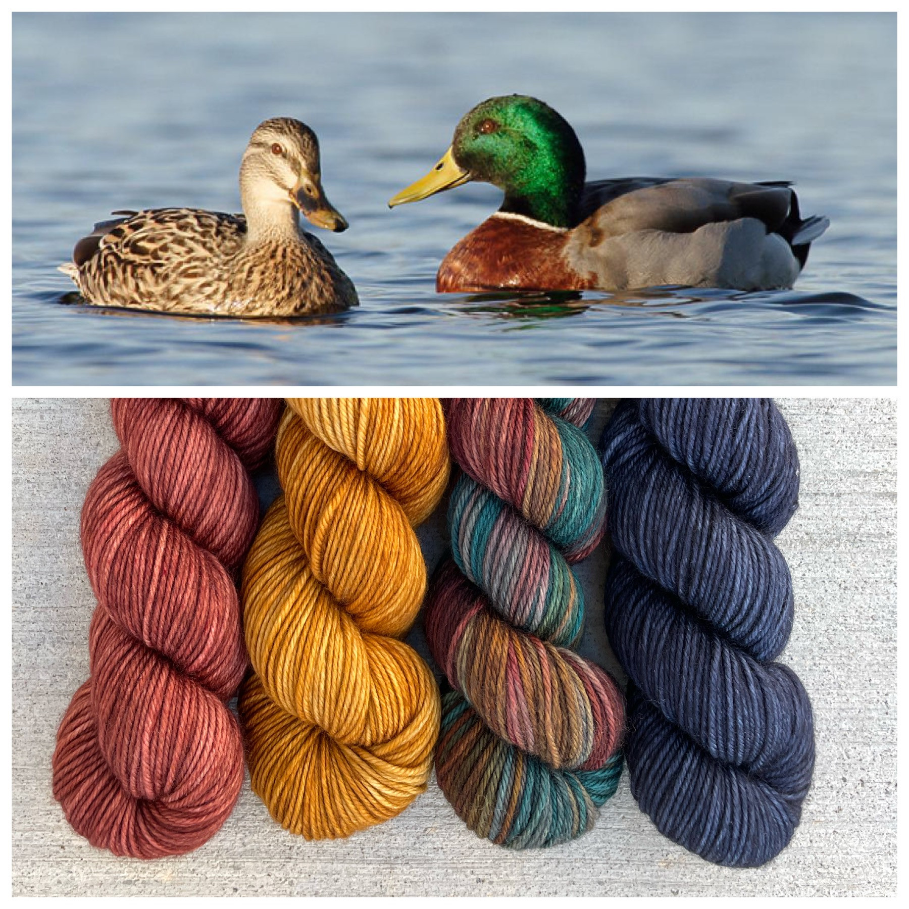 Polka Dot Sheep Yarns