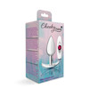 Viben Silver Anchor — Interchangeable-Base Plug Kit | Iridescent Pink