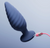 Noah App-Controlled Rotating Butt Plug - Navy Blue