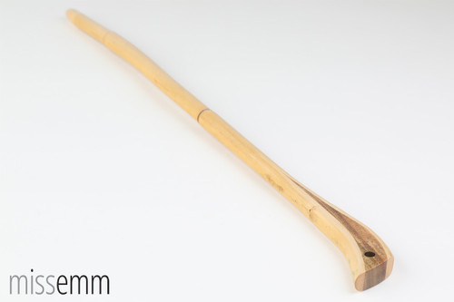 Camphor Laurel 580mm x 15mm