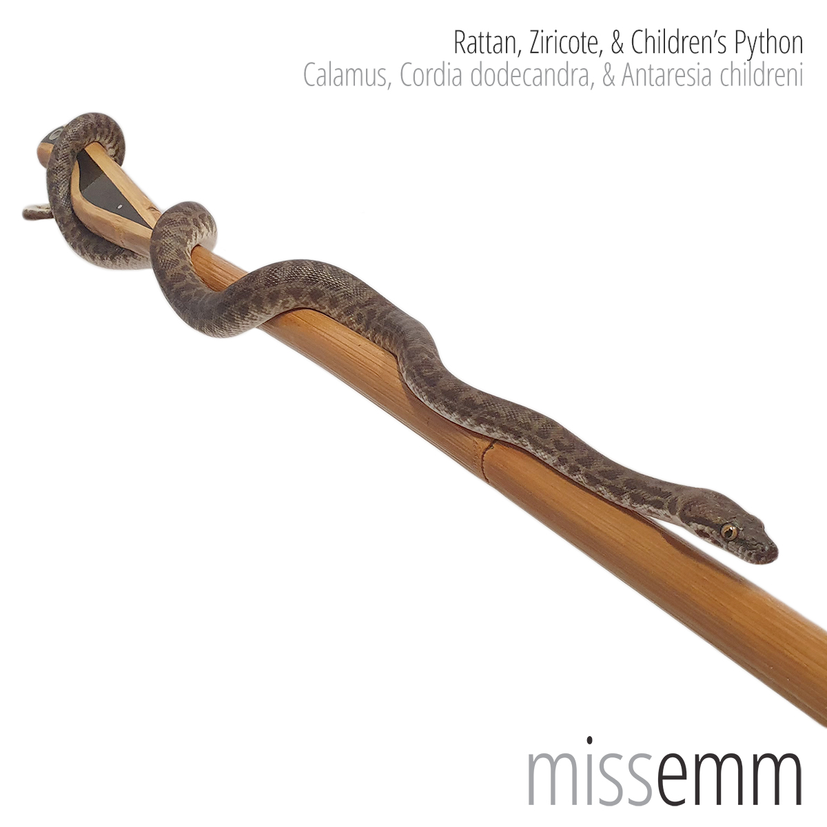 Rattan and Ziricote cane by Australian fetish toy maker Miss Emm