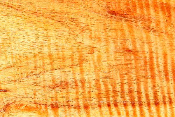 wood-sample-narrow-leaf-wattle-600x400.jpg