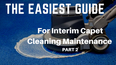 The easiest guide for routine carpet cleaning - ​Interim Maintenance System