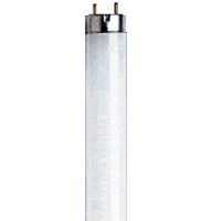 F20T12CW BULBS 30/CS