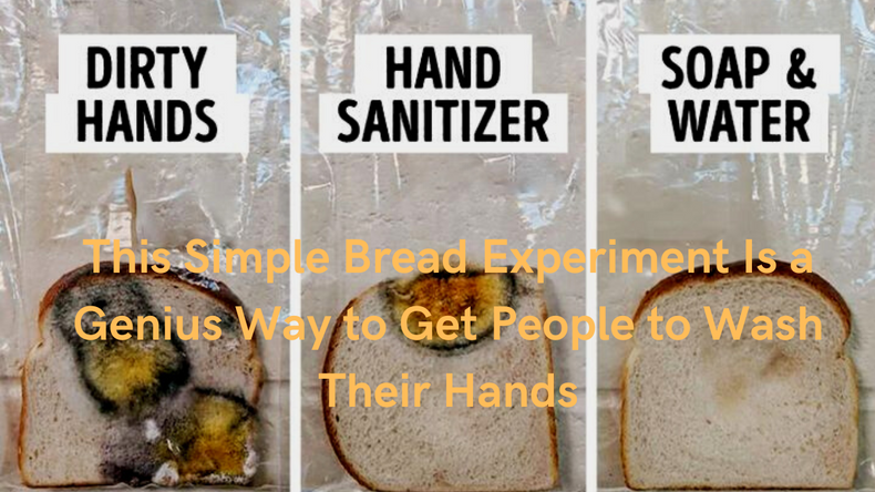 White Bread Experiment will make you want to wash your hands