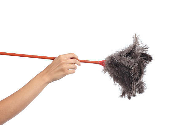 BLACK POLY COUNTER DUST BRUSH - Viking Janitor Supplies