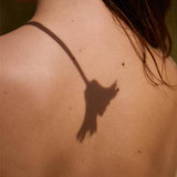 A close-up of a bare back with a shadow resembling a flower cast on the skin.