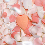 Makeup Removal Sponge