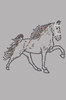 Horse (Brown Rhinestuds) Tutu