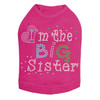 I'm the Big Sister dog tank for large and small dogs.
6' X 5" design with silver, pink, blue, & green nailheads.
