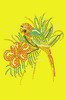 Parrot with Hibiscus - Bandanna