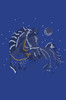 Horse with Stars & Moon - bandana