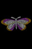 Magenta Butterfly - Bandannas