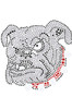 Bulldog Face (White) - bandana
