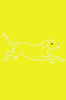 Labrador Retriever Outline - bandana