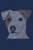 Jack Russell Terrier - bandana