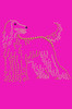 Afghan Hound - bandana