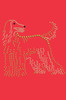 Afghan Hound - bandana