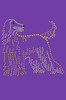 Afghan Hound - bandana