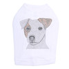 Jack Russell Terrier Dog Tank