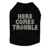 Here Comes Trouble dog tank for large and small dogs.
5.75" X 4" design with clear & light topaz rhinestones.