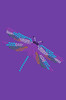 Dragonfly - Women's T-shirt
