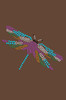 Dragonfly - Women's T-shirt