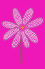 Daisy with Pink Center - Women's T-shirt
