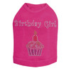 Birthday Girl rhinestone dog tank for large and small dogs.