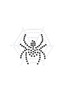 Spider Web & Spider Bandanna