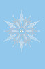 Snowflake #1 - Light Blue Women's T-shirt