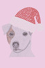 Jack Russell Terrier with Santa Hat - Light Pink Women's T-shirt