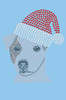 Jack Russell Terrier with Santa Hat - Light Blue Women's T-shirt