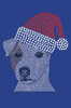 Jack Russell Terrier with Santa Hat - Royal Blue Bandana