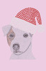 Jack Russell Terrier with Santa Hat - Light PinkBandana