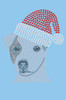 Jack Russell Terrier with Santa Hat - Light Blue Bandana