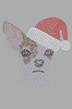 Chihuahua Face with Santa Hat - Gray Bandana