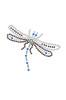 Small Dragonfly - Bandanna