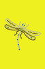 Small Dragonfly - Bandanna