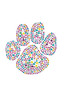 Paw (Multicolor) bandana