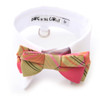 White cotton shirt collar and coral and lime silk bow tie.