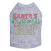 Santa's Newest Elf - Gray Dog Tank