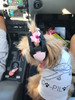 Co-Pilot Airplane (white) - Dog Tank