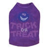 Trick or Treat with Blue Glitter Spider - Dog Tank