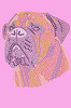 Bullmastiff - Women's Tee