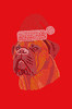 Bullmastiff with Santa Hat - Bandana