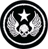 Skull with Wings - Patch