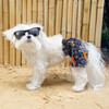Surfer Dog Boxer Shorts for Dogs