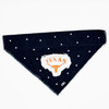 Longhorn Denim Bandana